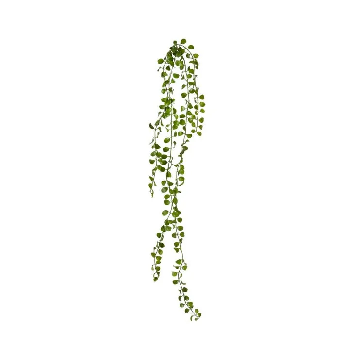 Angel Vine Hanging Plant - 9 x 3 x 105cm