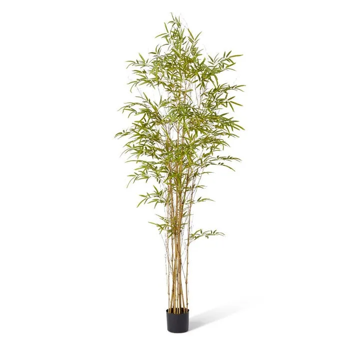 Bamboo Guadua Tree - 100 x 100 x 210cm