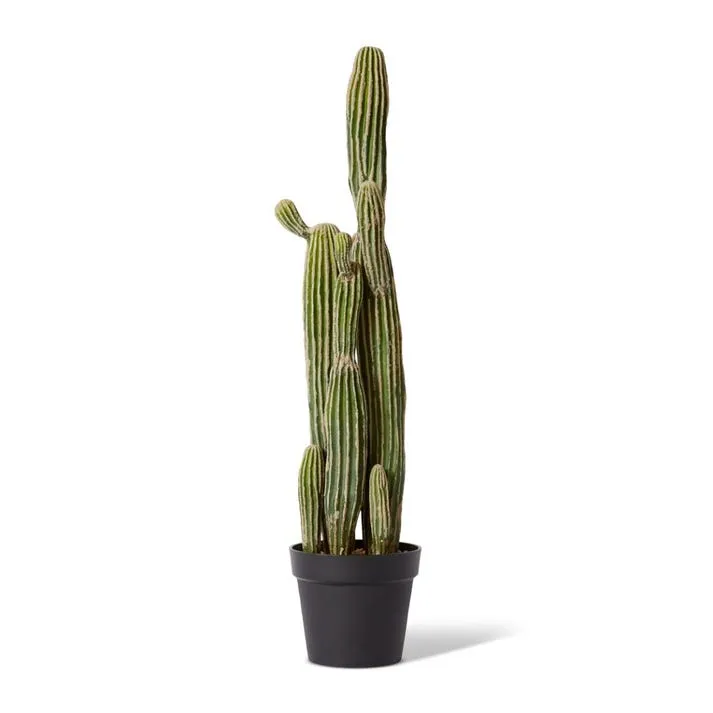 Cactus Saguaro Potted - 25 x 20 x 91cm