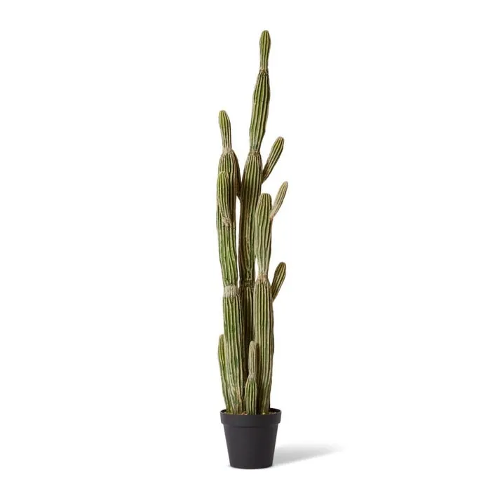 Cactus Saguaro Potted - 30 x 30 x 152cm