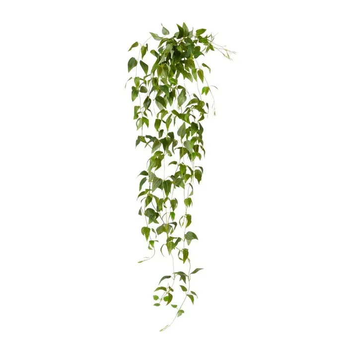 Clematis Hanging Vine - 30 x 25 x 90cm