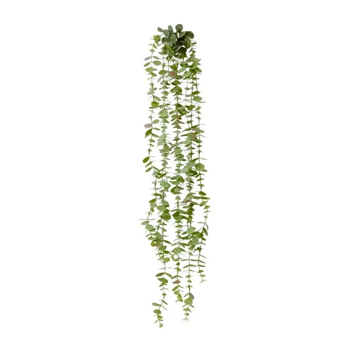 Coin Leaf Hanging Bush - 16 x 10 x 81cm