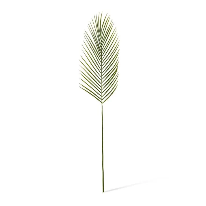 Cycad Leaf Stem - 23 x 1 x 88cm