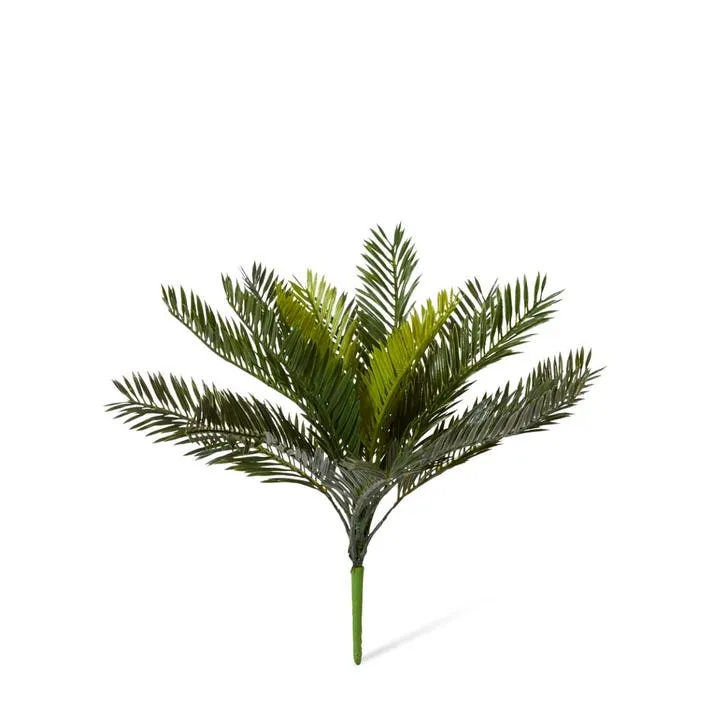 Cycas Bush - 38 x 38 x 36cm