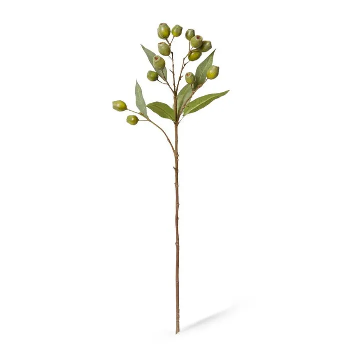 Eucalyptus Gum Nut Spray - 24 x 20 x 67cm