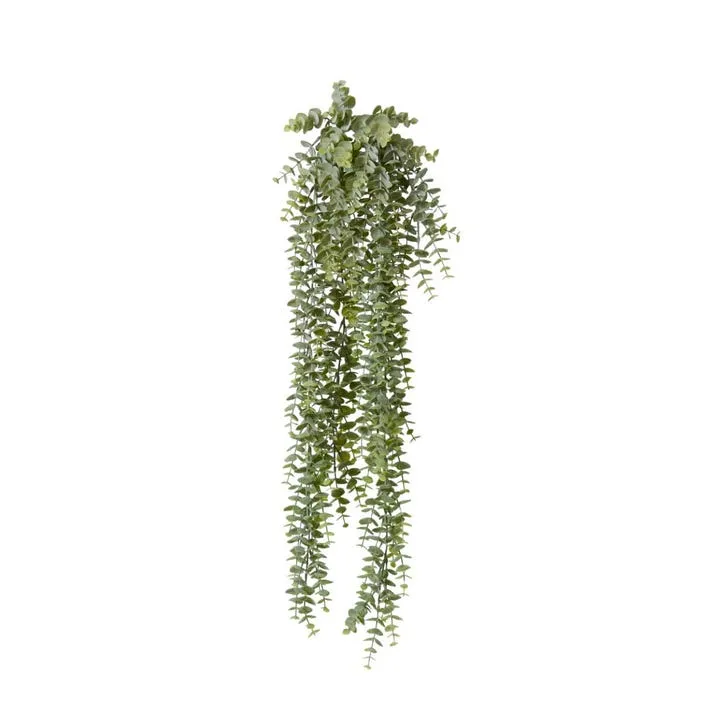 Eucalyptus Hanging Plant - 15 x 15 x 80cm