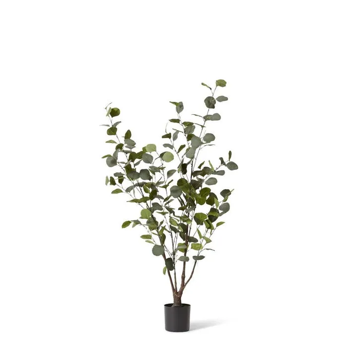 Eucalyptus Tree - 50 x 50 x 120cm