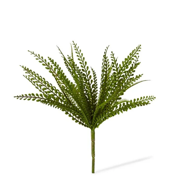 Fern Lemon Button - 38 x 38 x 33cm