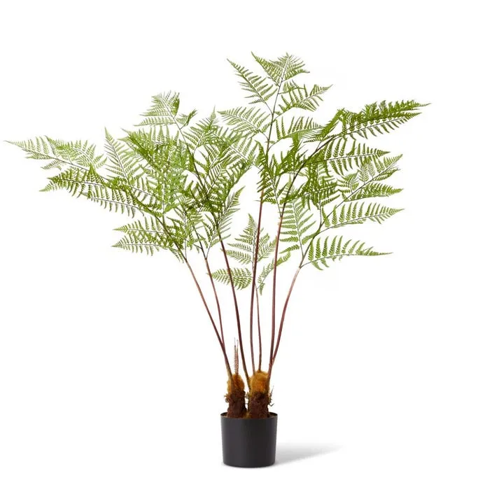 Fern Woodland Potted - 97 x 99 x 157cm