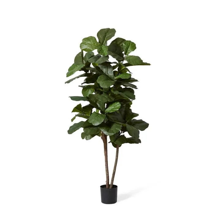 Fiddle Tree - 70 x 70 x 180cm