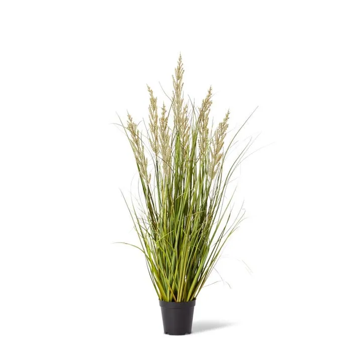 Grass Prairie Potted - 50 x 50 x 90cm