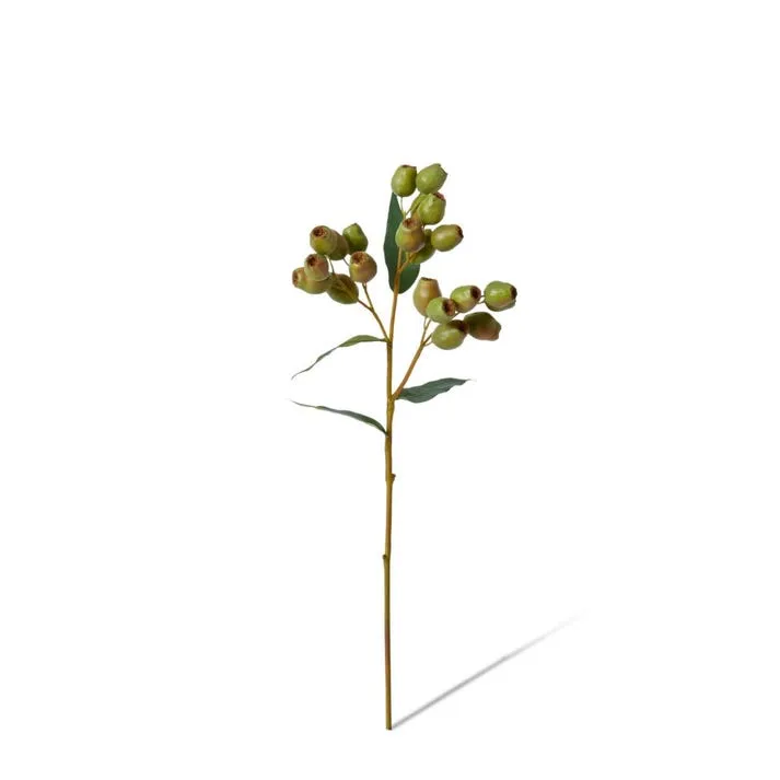 Gum Nut Spray - 20 x 10 x 48cm