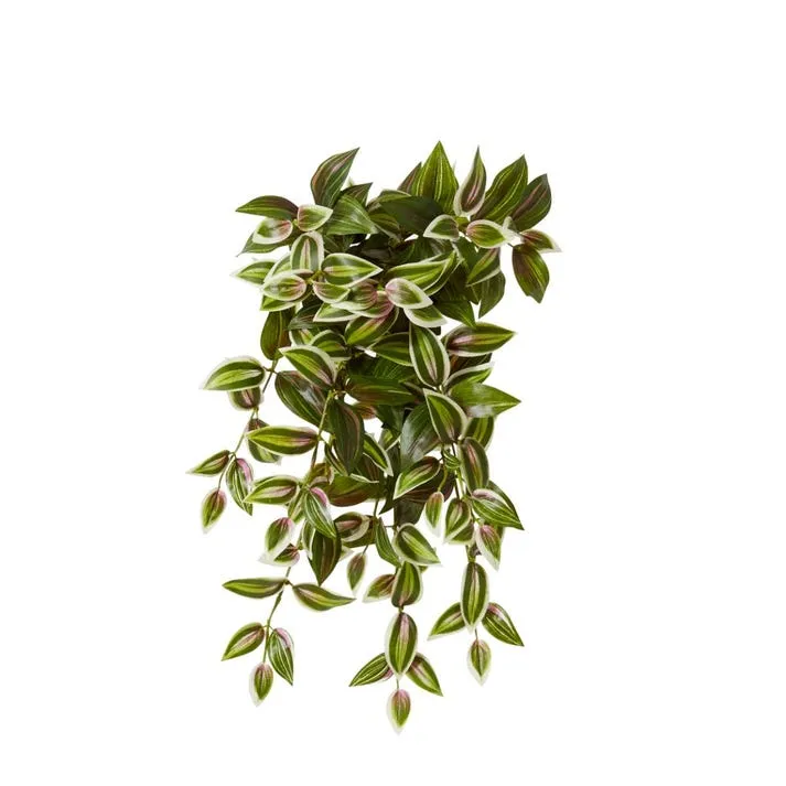 Wandering Jew Hanging Plant - 20 x 20 x 50cm