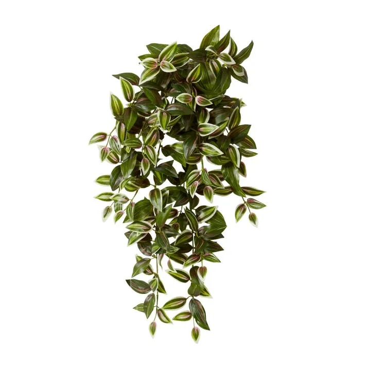 Wandering Jew Hanging Plant - 28 x 28 x 65cm