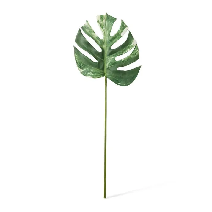 Monstera Lush Stem - 28 x 2 x 75cm