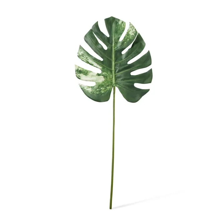 Monstera Lush Stem - 33 x 2 x 78cm
