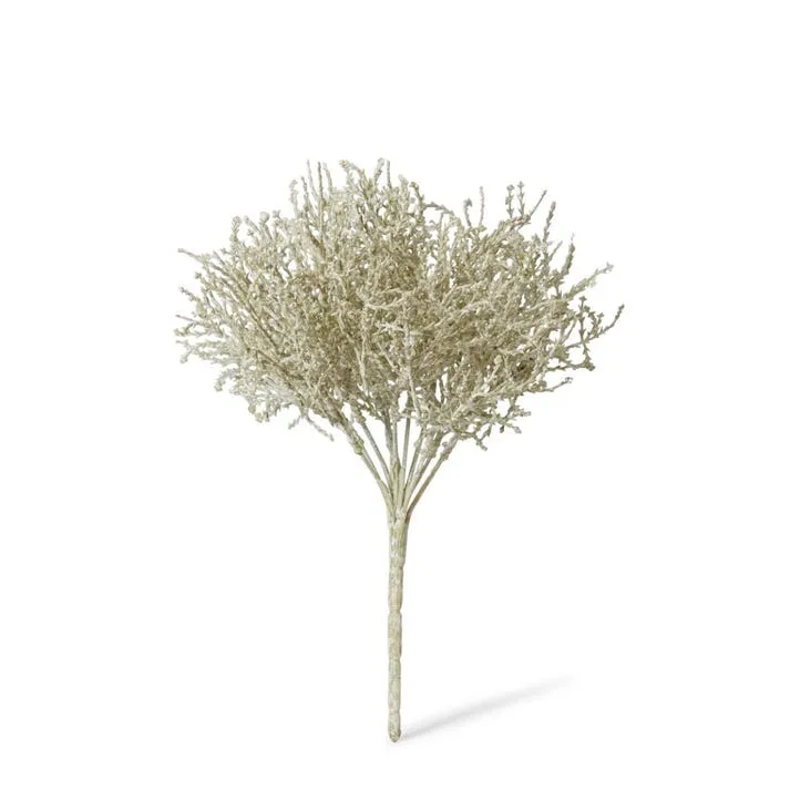 Santolina Bush - 23 x 23 x 27cm