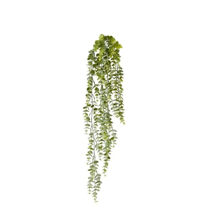 Silver Leaf Hanging Plant (Grey/Green ) - 15 x 10 x 77cm