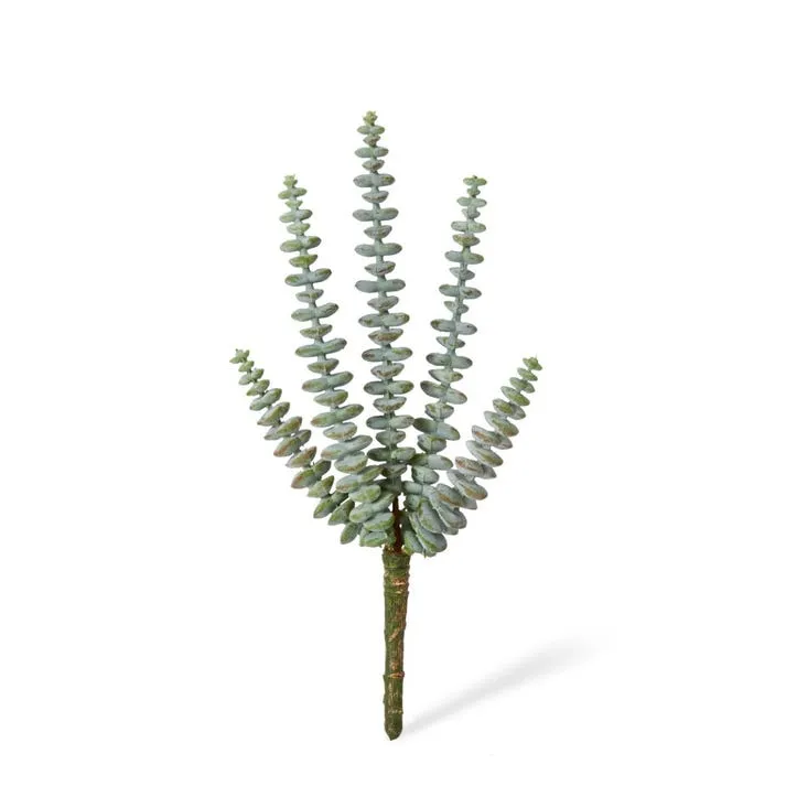String of Buttons Sedum Stem - 15 x 15 x 25cm