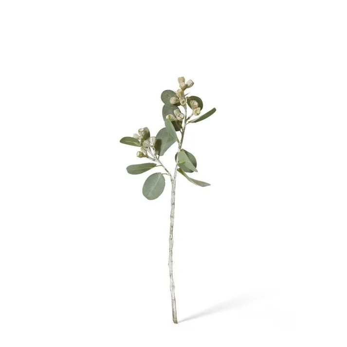 Tetragona Gum Nut Spray - 9 x 6 x 41cm