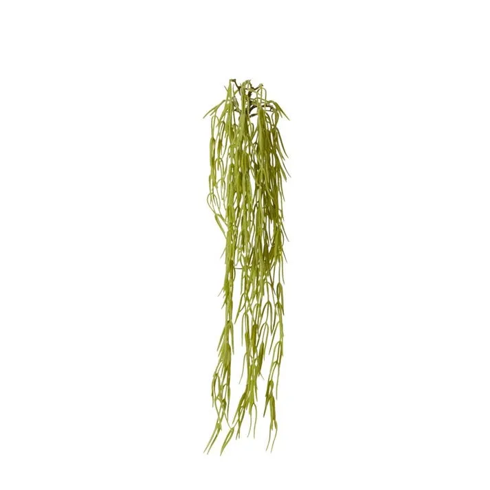 Wax  Vine Hanging Plant - 20 x 7 x 53cm