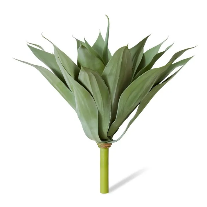 Agave - 55 x 55 x 52cm
