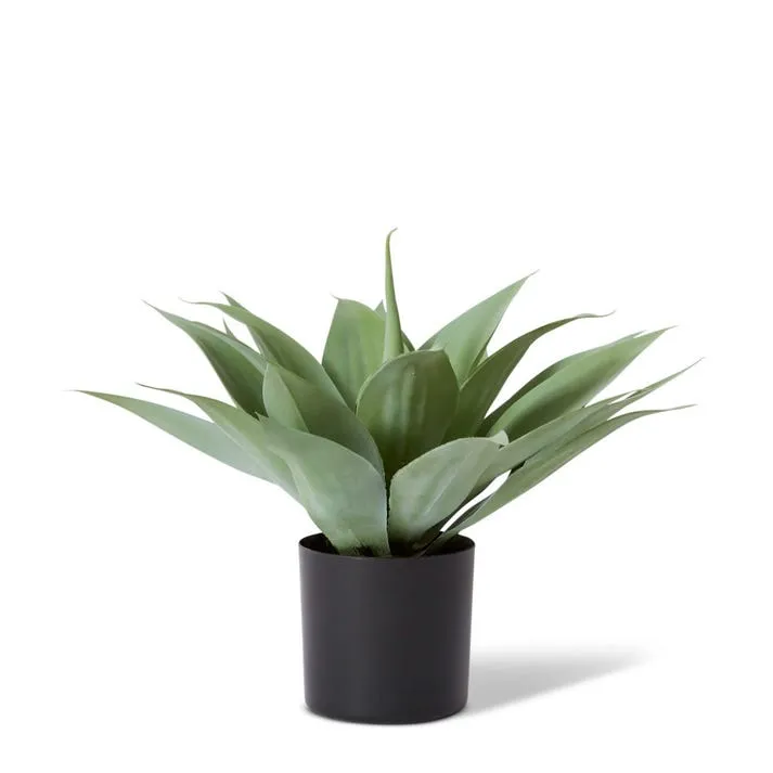 Agave Potted - 40 x 35 x 40cm