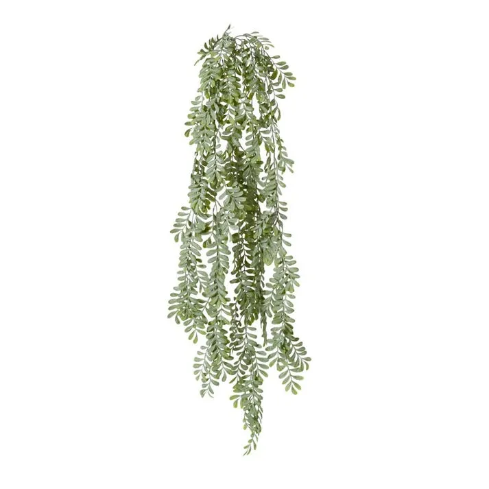 Auritum Hanging Plant - 18 x 18 x 114cm