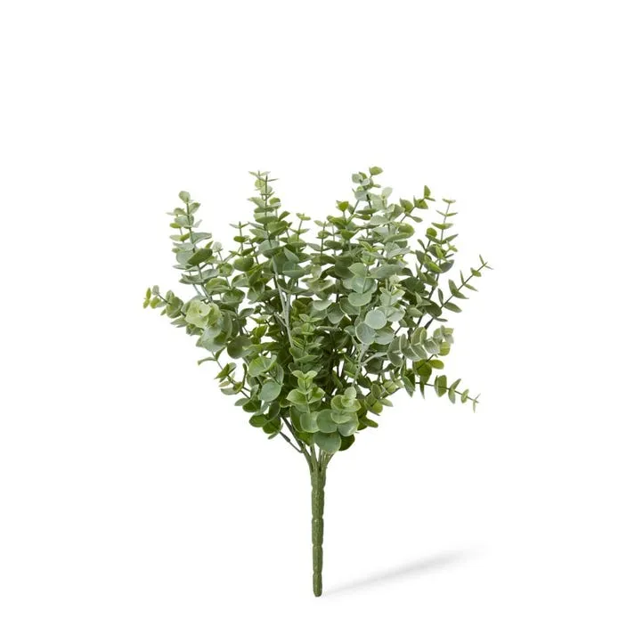 Eucalyptus Bush - 26 x 26 x 36cm