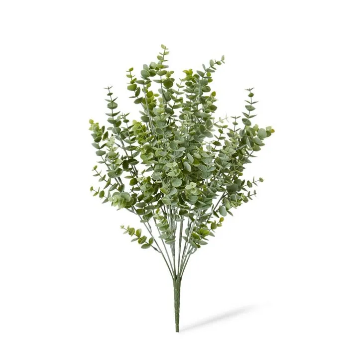 Eucalyptus Bush - 30 x 30 x 50cm