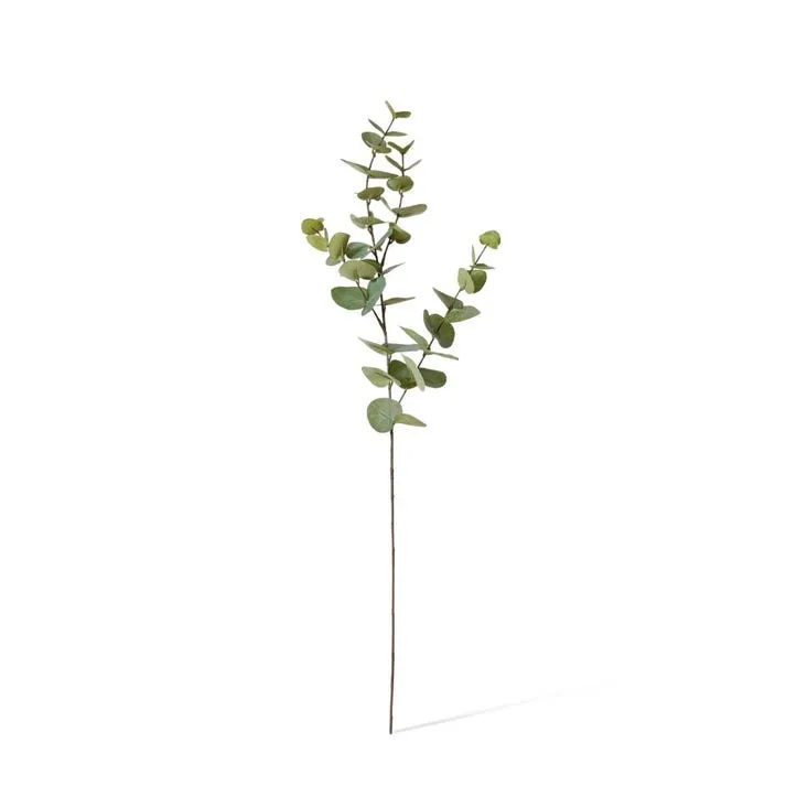 Eucalyptus Dollar Spray - 21 x 8 x 94cm