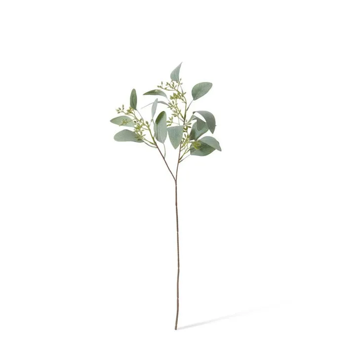 Eucalyptus Seeding Spray - 21 x 21 x 48cm