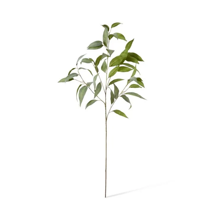 Eucalyptus Spray - 50 x 40 x 94cm