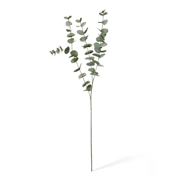 Eucalyptus Spray - 15 x 5 x 100cm