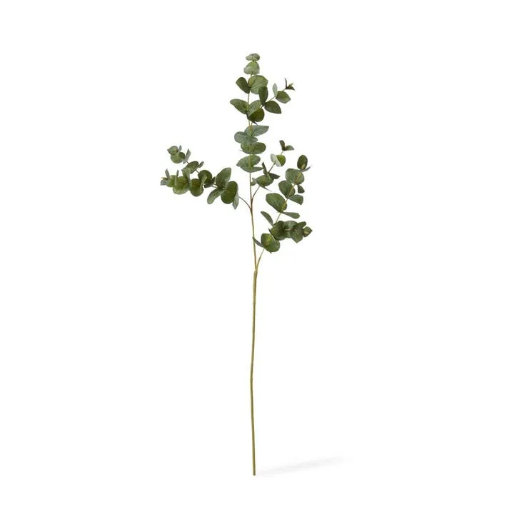 Eucalyptus Spray - 28 x 4 x 97cm