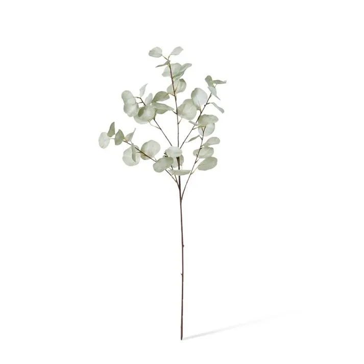 Eucalyptus Dollar Spray - 35 x 15 x 90cm
