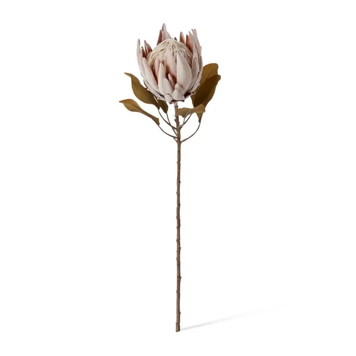 Protea King Dried Look Stem - 25 x 25 x 61cm