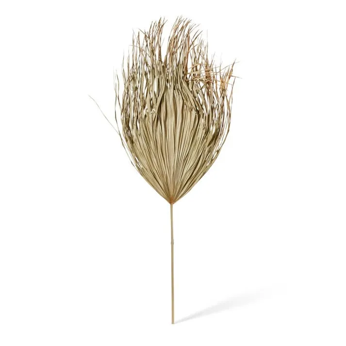 Palm Dried Stem - 50 x 1 x 130cm