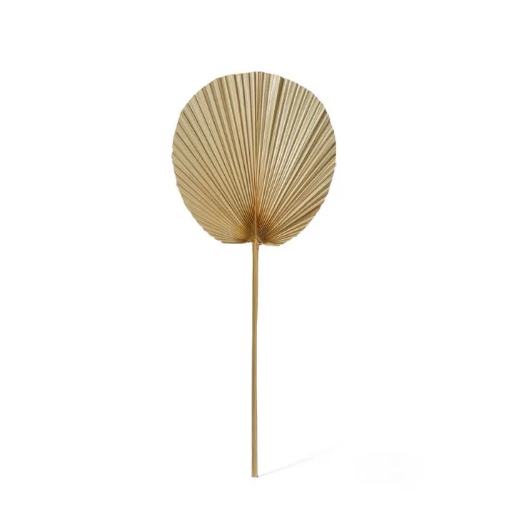 Fan Palm Dried Stem - 30 x 1 x 73cm