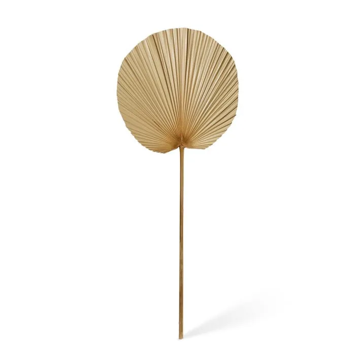 Fan Palm Dried Stem - 31 x 1 x 90cm