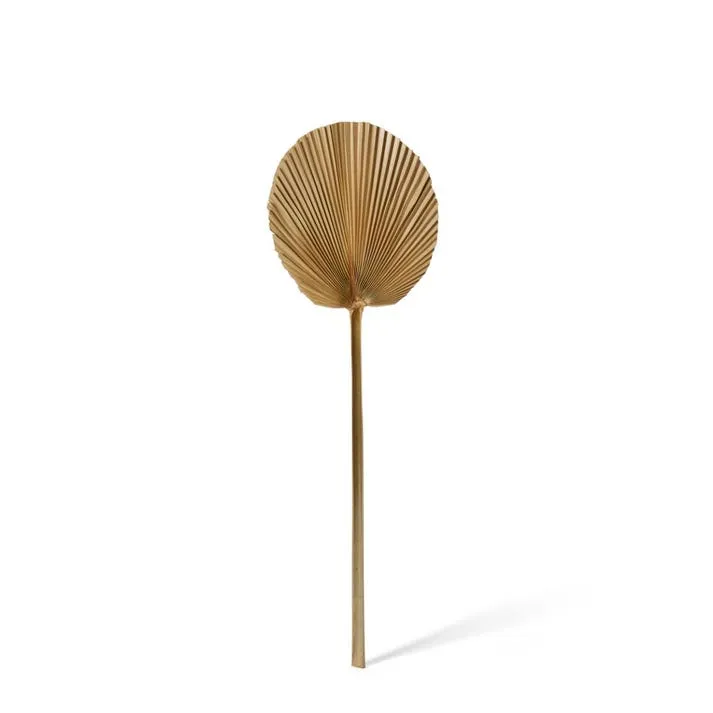Fan Palm Mini Dried Stem - 15 x 1 x 45cm