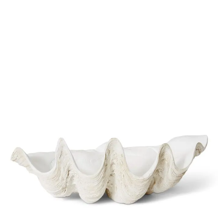 Clam Shell Large Sculpture - 52 x 28 x 19cm