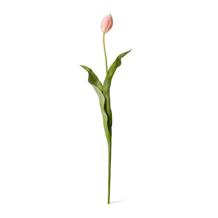 Tulip Stem - 9 x 3 x 74cm