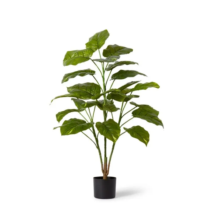 Pothos Potted - 68 x 68 x 107cm