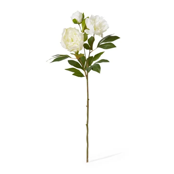 Peony Classic Spray - 27 x 24 x 75cm