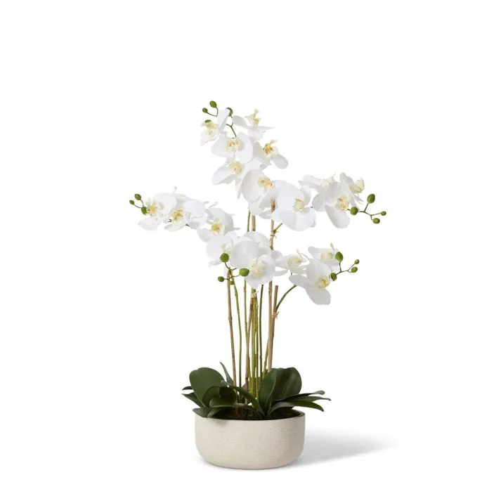 Phalaenopsis Round Bowl - 48 x 48 x 64cm