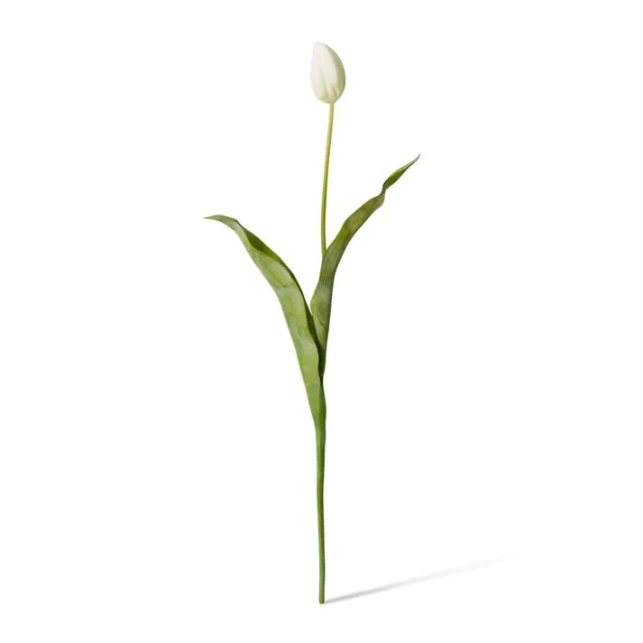 Tulip Stem - 9 x 3 x 74cm