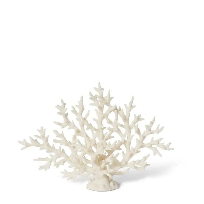 Coral Staghorn Sculpture - 28 x 7 x 21cm