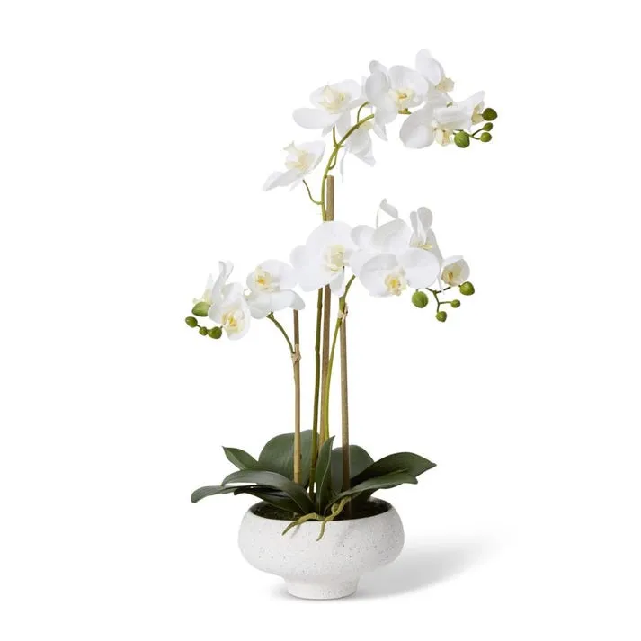Phalaenopsis Footed Bowl - 32 x 25 x 60cm