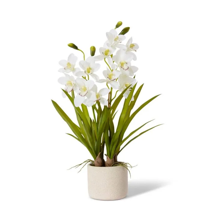 Cymbidium Slim Pot - 50 x 50 x 69cm